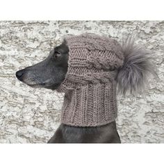 a dog wearing a knitted hat and scarf