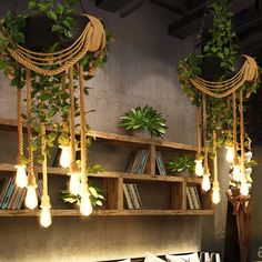 some bookshelves with plants hanging from them and lights on the wall above them