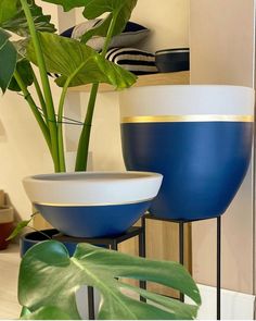 two blue and white bowls sitting next to each other on top of metal stands with plants in the background