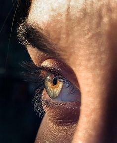 a close up view of an eye with brown and yellow iris looking into the distance