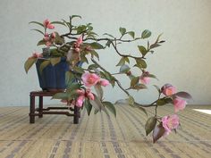 a potted plant sitting on top of a wooden table next to a small chair