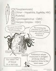 an open book with some drawings and words on the front page, including information about different types of ticks