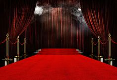 a red carpeted area with gold poles and barriers in front of a stage curtain