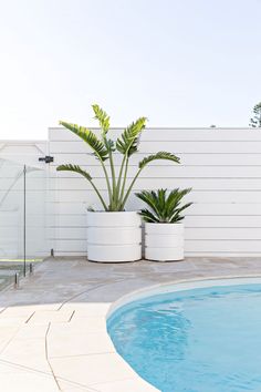 there is a pool with two plants in the middle and a white fence behind it