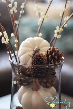 a glass vase filled with white pumpkins and pine cones