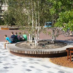 people are sitting on benches near a tree