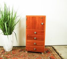 a tall green plant sitting next to a wooden dresser on top of a rug in front of a white wall