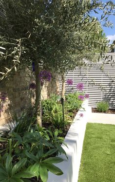 an outdoor garden with green grass and purple flowers