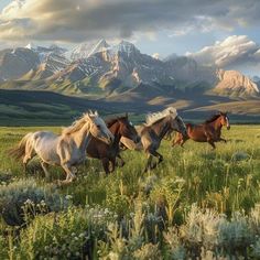 three horses running in the grass with mountains in the background