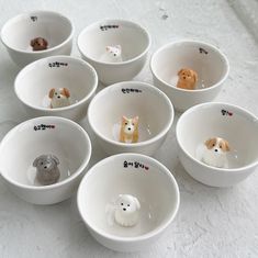 six white bowls with small dogs in them