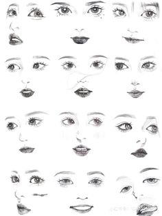 a bunch of different types of eyes