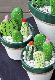 three potted cactus plants sitting on top of a table