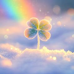 a four leaf clover sitting in the snow with a rainbow in the backgroud