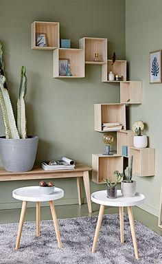 two tables with plants on them in front of a wall filled with wooden shelving