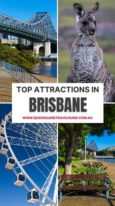 the top attractions in brisbane, australia