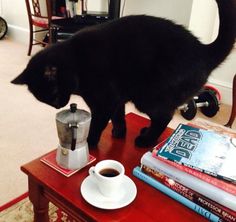 a black cat standing on top of a table next to a cup of coffee