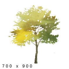 a watercolor painting of a tree with yellow leaves