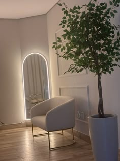 a white chair sitting next to a potted plant on top of a hard wood floor