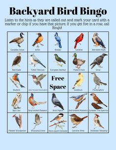 - Digital Product - 35 Unique Bingo Cards - Call Cards for Each Bird with Hints - Common Backyard Birds of the United States Bird Bingo, Natural Birthday Party, Nature Birthday, March Break, Veterinary Science, Nature Education, Environmental Studies, Outdoor Education, Bird Crafts