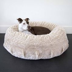 a dog that is laying down in a bed on the floor with his head resting on it's side