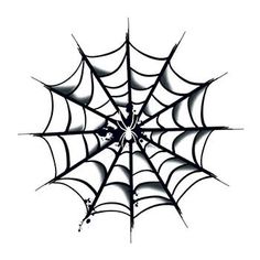 a black and white image of a spider web on a white background, with the center section visible