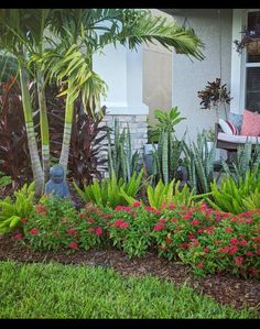 a garden with flowers and plants in front of a house