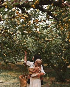 a woman holding a child in her arms while picking apples from an apple tree with lots of fruit on it