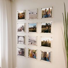 a wall with many pictures hanging on it next to a potted plant in front of a window