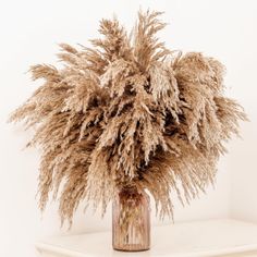 a vase filled with dry grass on top of a table