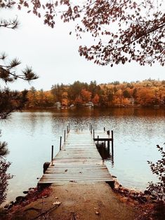 a wooden dock sitting in the middle of a lake