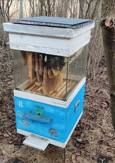 a blue and white beehive sitting in the woods next to some tree branches