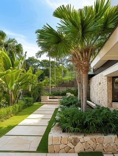 Palm Tree Garden Ideas: Landscaped Walkway with Stone Slabs Tropical Garden Edging, Royal Palm Tree Landscape, Landscape Ideas Tropical, Garden Palm Trees, Modern Tropical Landscape Design, Palm Garden Ideas, Landscaped Walkway, Large Yard Landscaping Layout, Palm Tree Garden Ideas