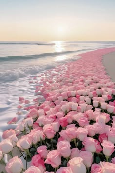 the beach is lined with pink roses and waves crashing in to shore as the sun sets