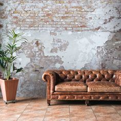 a brown leather couch sitting next to a potted plant in front of a brick wall