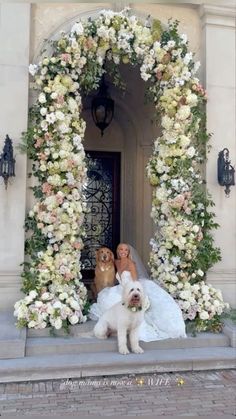 a bride and two dogs sitting in front of a doorway with flowers all around them