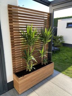 two plants are in a wooden planter on the side of a building with grass