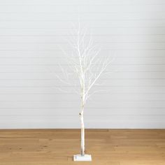 a white tree with no leaves on it in front of a wooden floor and wall