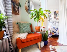 a living room filled with furniture and plants