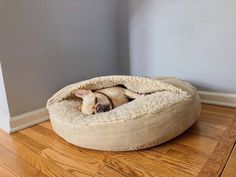 a small dog is laying in his bed on the floor