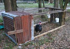 a chicken coop in the woods with a turkey inside