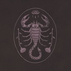 a drawing of a scorpion on a black background