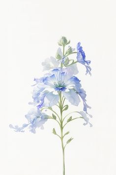 blue and white flowers are in a vase