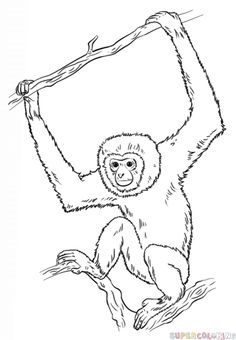 a drawing of a monkey holding onto a tree branch