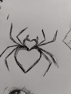 a drawing of a spider with a heart on it