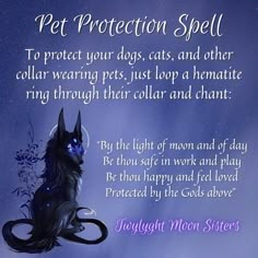 a black cat sitting on top of a blue background with the caption pet protection spell