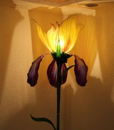 a flower that is sitting in the middle of a room with a light on it