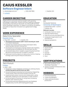 a professional resume for software engineer in blue and black colors, with the words software engineer on