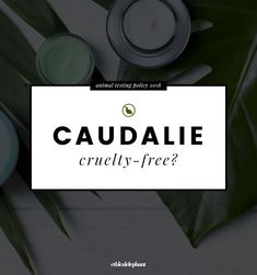 Caudalie claims to be completely against animal testing but their animal testing policy states otherwise. Find out the truth about Caudalie's cruelty-free status here. Beauty Guide, Free Products