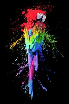 a colorful parrot sitting on top of a black surface with paint splatters all over it