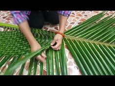 a person cutting up some green leaves with scissors